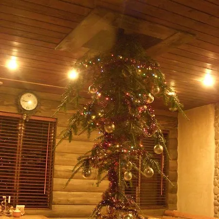 Guest house Truten 3*